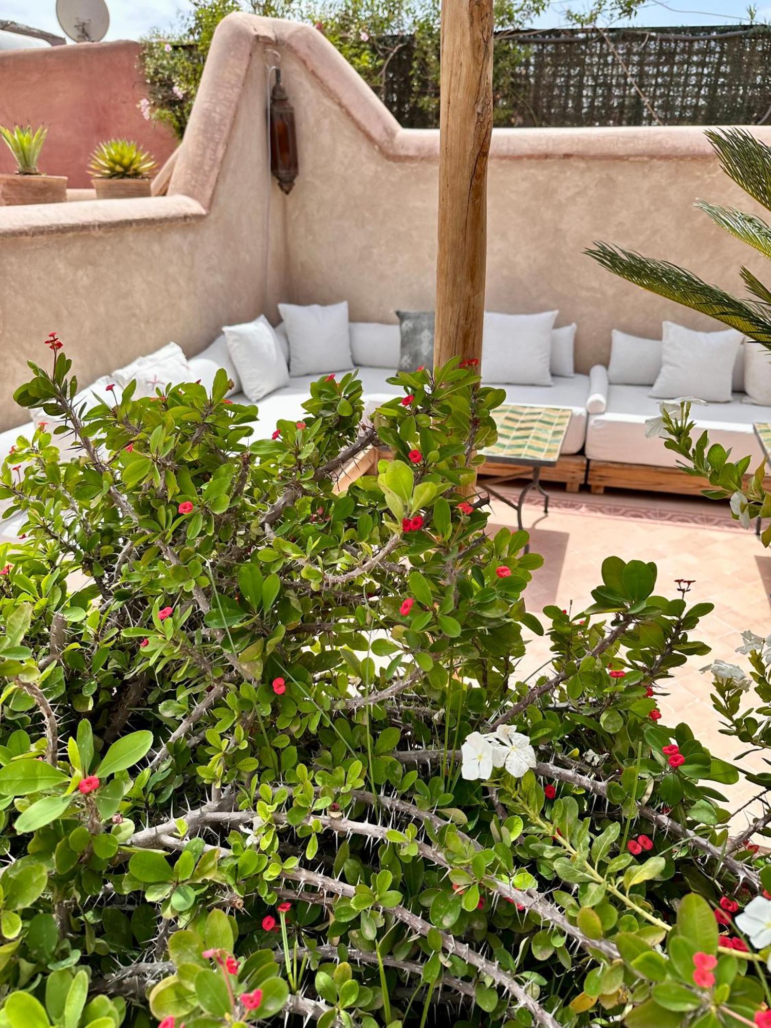 Riad Hadika Maria Marrakesh Exterior photo